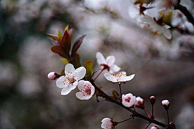 类银河恶魔城游戏《偏差者》现已推出抢先体验版 获Steam平台多半好评